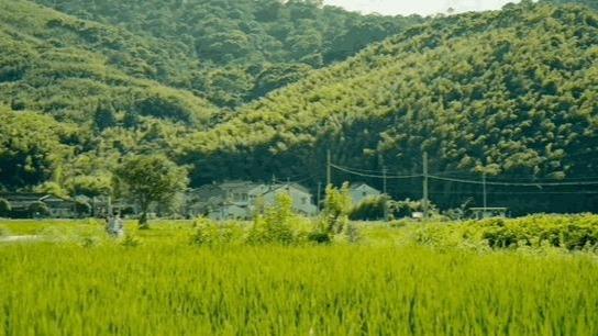 跟着电影去打卡！现实中的“莺莺小卖部”藏在这里→